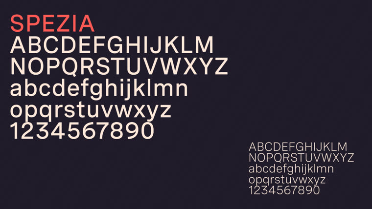 BRAVEOUT brand guidelines
