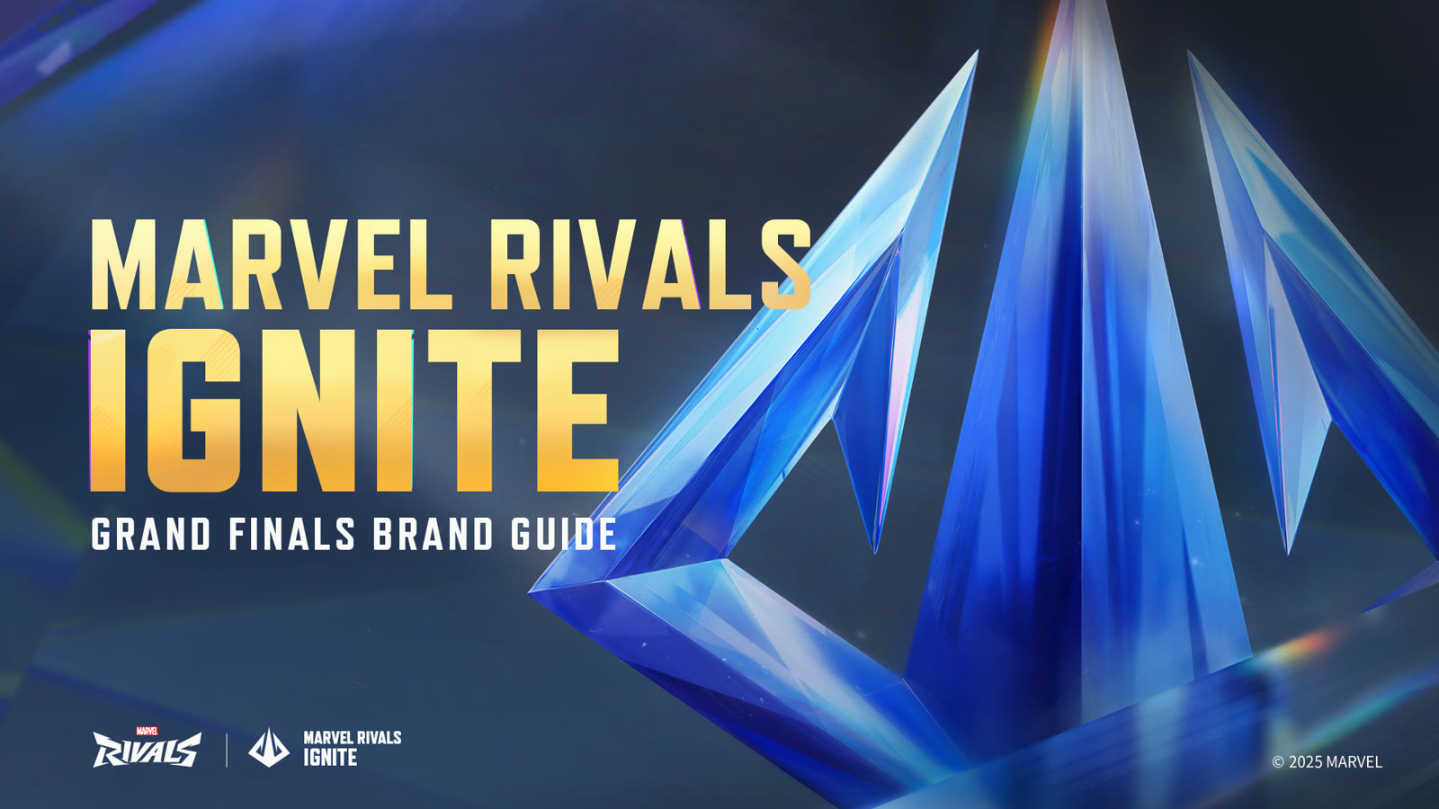 Grand finals brand guide cover