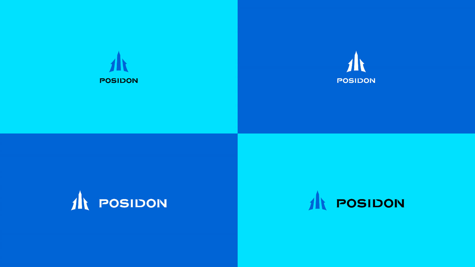 POSIDON logo colour versions on blue
